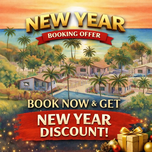 New year booking offer